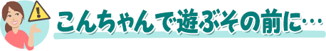 こんちゃんで遊ぶその前に・・・
